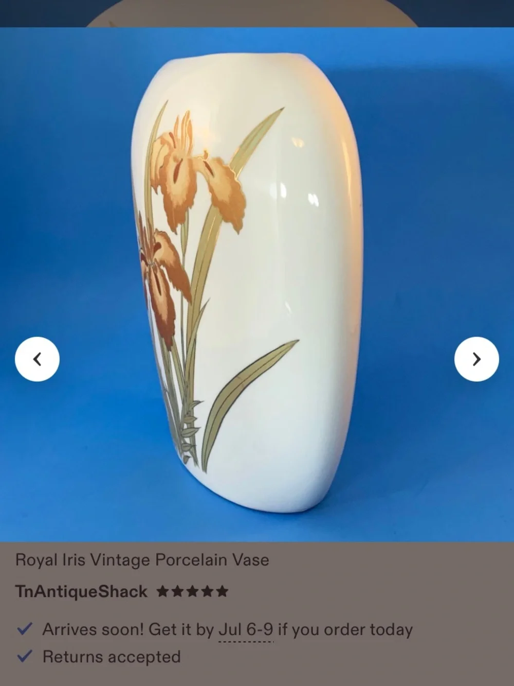 Vintage White Porcelain Vase with Brown Royals Iris Illustration Gold Trim